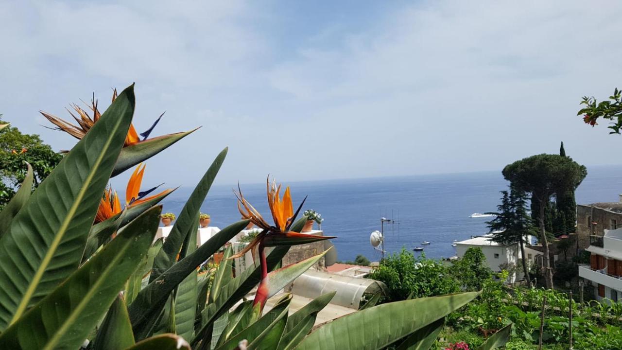 Vila Casa Anna Positano Exteriér fotografie